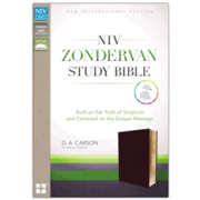 438340: NIV Zondervan Study Bible--bonded leather, burgundy
