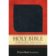 013607: God&amp;quot;s Word Thinline Bible, Bonded leather, charcoal