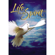 27572: KJV Life in the Spirit Study Bible, Hardcover (Previously titled The Full Life Study Bible)