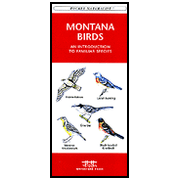 551115: Montana Birds