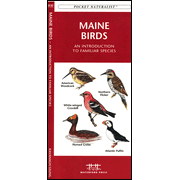 551506: Maine Birds