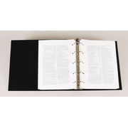 633202: NIV Loose-Leaf Bible