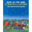 12535: Glow-In-The-Dark Constellations: A Field Guide for Young Stargazers