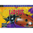 2873063: Life Cycles: Ladybug