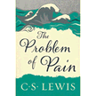 2969X: The Problem of Pain