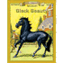 201B: Black Beauty