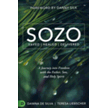 409154: SOZO Saved Healed Delivered: A Journey into Freedom with the Father, Son, and Holy Spirit