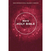 0445982: NIrV Outreach Bible--softcover, pink