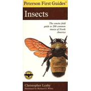 06644: Peterson First Guide to Insects