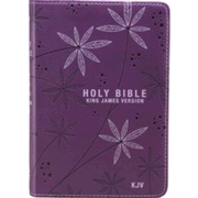 2102333: KJV Pocket Bible, Lux Leather, Purple