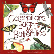 716746: Caterpillars, Bugs and Butterflies