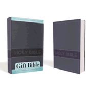 744153: NIrV Gift Bible, Duo-Tone Slate Blue