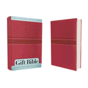 744205: NIrV Gift Bible, Duo-Tone Hot Pink