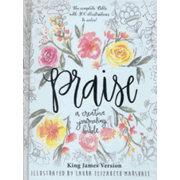 992802: Praise: A Creative Journaling Bible