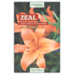 146254: Zeal: A Bible Study on Titus for Women