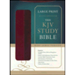 584580: KJV Study Bible, Large Print, Leather, imitation