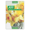 760561: Joy!: A Bible Study on Philippians for Women