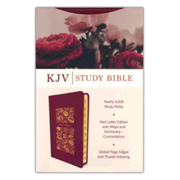 096071: KJV Study Bible--imitation leather, crimson (indexed)