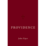 114665EB: Providence - eBook 
