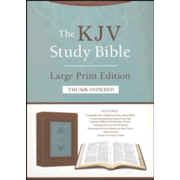 228455: KJV Study Bible - Large Print - Indexed [Teal Inlay]