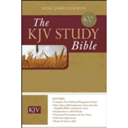 260370: The KJV Study Bible Burgundy Bonded Leather