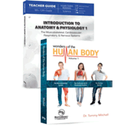 443269: Introduction to Anatomy &amp; Physiology Volume 1 Set