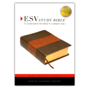 503931: ESV Study Bible, TruTone, Forest/Tan Trail Design