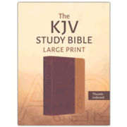 511491: KJV Study Bible, Large Print--soft leather-look, duo-tone brown (indexed)
