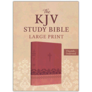 511502: KJV Study Bible, Large Print--soft leather-look, rose and chestnut (indexed)