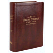 516942: The KJV Henry Morris Study Bible, Imitation leather, brown
