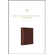 555381: ESV Single Column Journaling Bible, Large Print, Mocha Bonded Leather