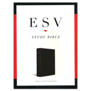 575923: ESV Study Bible, Genuine Buffalo Leather, brown