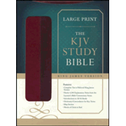 584580: KJV Study Bible, Large Print, Leather, imitation