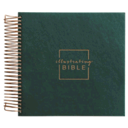 693701: CSB Illustrating Bible--faux-leather, green