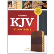 721967: KJV Study Bible, Full-Color--soft leather-look, saddle brown (indexed)