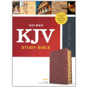 722009: KJV Study Bible, Full-Color--bonded leather, brown (indexed)